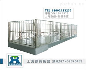 精准称重，科学养殖 家禽牲畜电子秤的应用与选型指南